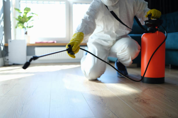 Reliable Odor Removal contractor in Solvang, CA by Trauma Clean Pros